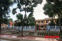 Huyện Nga Sơn: 20 xã và 114 thôn đạt chuẩn nông thôn mới