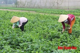 Huyện Nga Sơn: Nhiều chính sách hỗ trợ xây dựng nông thôn mới