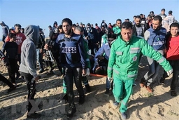 Phong trào Hamas đã tiếp nhận thời hạn ngừng bắn từ phía Israel