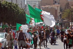 Bầu cử Tổng thống Algeria: Nhiều ứng cử viên nộp hồ sơ đăng ký