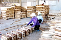 Bản tin Thanh Hóa Online ngày 3-4-2019