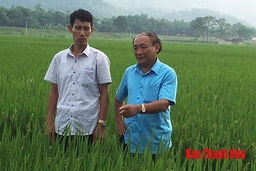 Phát huy vai trò người đứng đầu