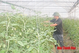 Hơn 500 doanh nghiệp, HTX, hộ sản xuất tham gia phần mềm kết nối cung cầu nông sản, thực phẩm an toàn