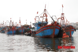 Hoàn thành lắp 100 thiết bị Movimar cho tàu cá