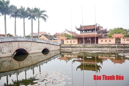 Ngàn năm cổ tự