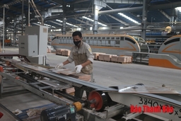 Cải thiện điều kiện làm việc, nâng cao thu nhập cho người lao động
