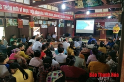 BHXH tỉnh và ngành bưu điện tăng cường phối hợp phát triển người tham gia BHXH tự nguyện