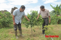 Sức lan tỏa của những tấm gương đảng viên làm kinh tế giỏi