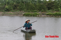 Ứng dụng khoa học công nghệ trong các mô hình khuyến nông