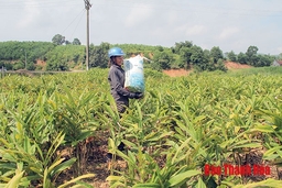 Huyện Như Thanh phát huy dân chủ tạo sự đồng thuận trong nhân dân