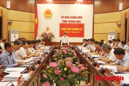 UBND tỉnh họp phiên thường kỳ tháng 5- 2019