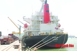 Đã có 3 chuyến tàu container quốc tế cập Cảng Tổng hợp quốc tế Nghi Sơn