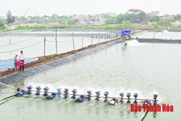 Tổng sản lượng khai thác và nuôi trồng thủy sản của huyện Hậu Lộc đạt 18.839 tấn