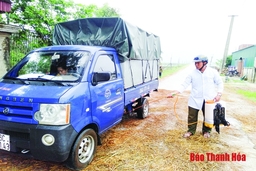 Huyện Nông Cống tập trung khống chế bệnh dịch tả lợn châu Phi