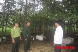 Hạt Kiểm lâm Như Thanh: Nâng cao hiệu quả bảo vệ và phòng cháy, chữa cháy rừng