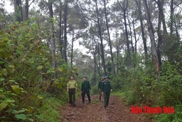 Huyện Thạch Thành: Triển khai đồng bộ các giải pháp bảo vệ rừng trong mùa nắng nóng