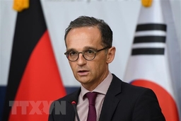 Đức kêu gọi nối lại các cuộc đàm phán hòa bình Ukraine
