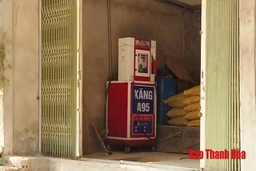 Toàn tỉnh có 54 tổ chức, cá nhân kinh doanh xăng, dầu trái phép