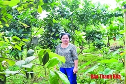 Chủ tịch hội liên hiệp phụ nữ xã tâm huyết với phong trào