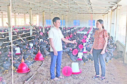 Quan tâm, tạo điều kiện để cán bộ nữ phấn đấu