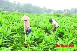 Huyện Như Thanh phát huy vai trò nêu gương của cán bộ, đảng viên