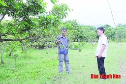 Hiệu quả hoạt động của đội ngũ báo cáo viên, tuyên truyền viên ở huyện Triệu Sơn