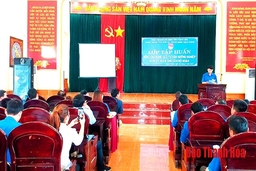566 cán bộ đoàn chủ chốt được nâng cao năng lực tư vấn hướng nghiệp, giới thiệu việc làm