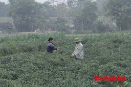 Chất lượng, sát với đời sống người dân - mục tiêu sinh hoạt chi bộ của Đảng bộ huyện Thiệu Hóa