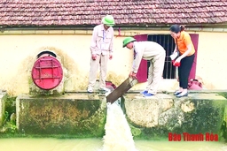 Thực hiện các giải pháp bảo đảm nước cho sản xuất vụ mùa