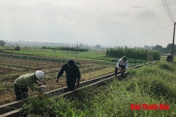 Huyện Hà Trung xây dựng môi trường xanh - sạch - đẹp và đảm bảo vệ sinh an toàn thực phẩm