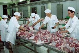 Tăng cường quản lý vận chuyển, giết mổ, chế biến, tiêu thụ thịt gia súc, gia cầm