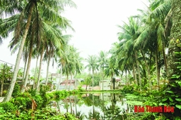 Đất dừa xứ Thanh