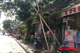 TP Thanh Hóa: Cáp viễn thông sà xuống đường gây nguy cơ mất an toàn