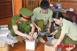 Khởi tố 26 vụ, 53 bị can phạm tội về tham nhũng, kinh tế