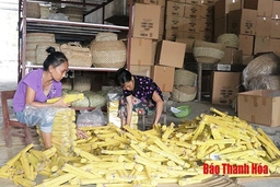 Giá trị sản xuất công nghiệp, tiểu thủ công nghiệp huyện Nga Sơn đạt 1.038,8 tỷ đồng