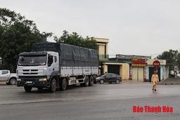 6 tháng, xử phạt 33.154 trường hợp vi phạm các quy định của pháp luật về trật tự, an toàn giao thông