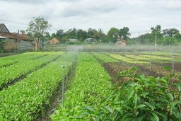 Tăng cường phát triển thủy lợi nhỏ, thủy lợi nội đồng và tưới tiết kiệm nước