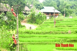 Điện lực Bá Thước: Bảo đảm an toàn lưới điện trong mùa mưa, bão