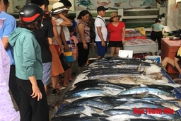 Du khách tấp nập mua hải sản Sầm Sơn trong dịp hè