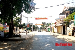 Sắp xếp đơn vị hành chính cấp xã: Giảm 76 đơn vị, toàn tỉnh sẽ còn 559 đơn vị hành chính cấp xã