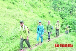 Xã hội hóa công tác quản lý, bảo vệ rừng tại huyện Quan Hóa
