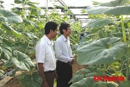 Chuyển biến từ liên kết sản xuất, tiêu thụ sản phẩm tại huyện Vĩnh Lộc