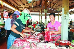 Chuyển biến trong công tác bảo đảm vệ sinh an toàn thực phẩm ở huyện Vĩnh Lộc