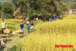 Đảng bộ xã Nam Xuân lãnh đạo xây dựng nông thôn mới