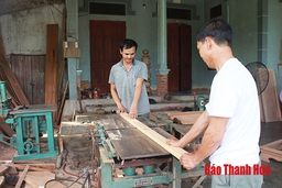 Giá trị sản xuất công nghiệp, tiểu  thủ công nghiệp huyện Nông Cống đạt 979,2 tỷ đồng