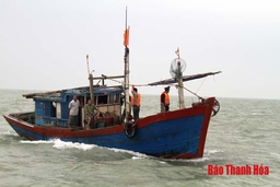 Kiểm tra 1.121 tàu cá hoạt động khai thác trên biển