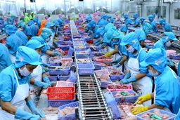 Thanh Hóa thành lập các Chi cục: Kiểm lâm, Chăn nuôi và Thú y, Thủy lợi, Thủy sản, Trồng trọt và Bảo vệ thực vật