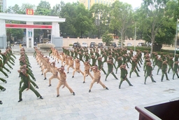 Công an tỉnh Thanh Hoá: Bế mạc lớp tập huấn điều lệnh võ thuật quân sự 2019