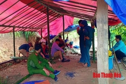 Hàng chục hộ dân Mường Lát mất nhà đang phải ở nhà tạm