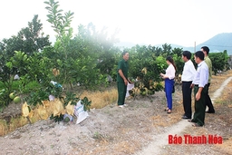 Sức lan tỏa từ phong trào “Cựu chiến binh gương mẫu”